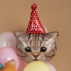 Воздушный шар Фигура (32''/81 см) Котик Ты Супер